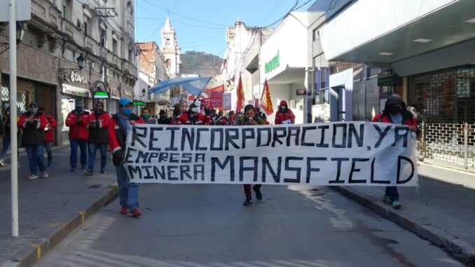 mineria salta